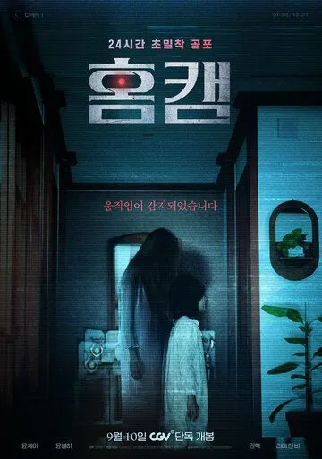 Домашняя камера